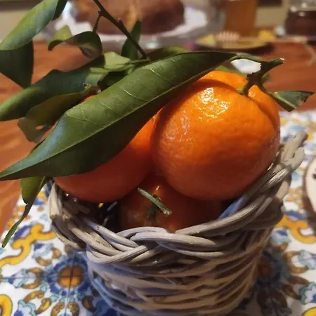 A Casa Di Sara Castel San Pietro Terme