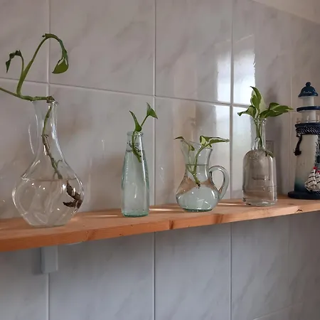 Homestay szállás A Casa Di Sara Castel San Pietro Terme