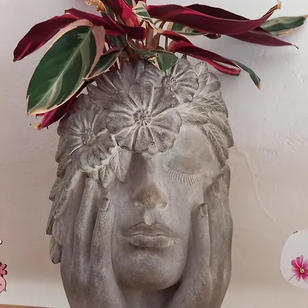 A Casa Di Sara Rum i privatbostad *