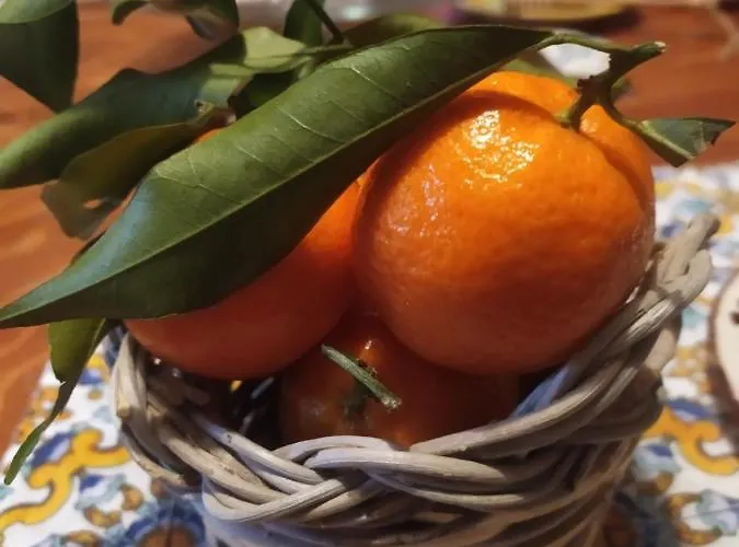 A Casa Di Sara 카스텔산피에트로테르메